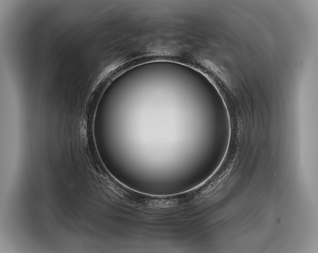 X0000116421307200912081456