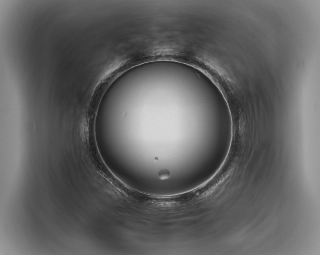 X0000116421309200912081456