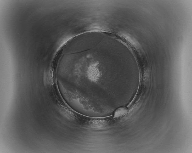 X0000116421310200912081456