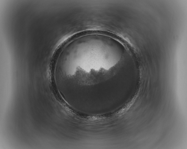 X0000116421311200912081456