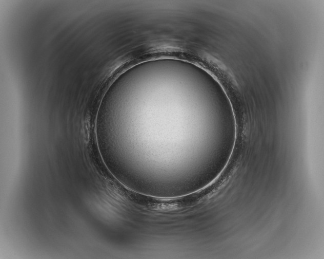 X0000116421313200912081456
