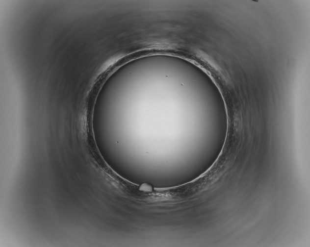 X0000116421315200912081456