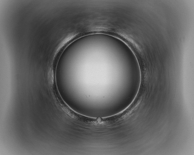 X0000116421317200912081456