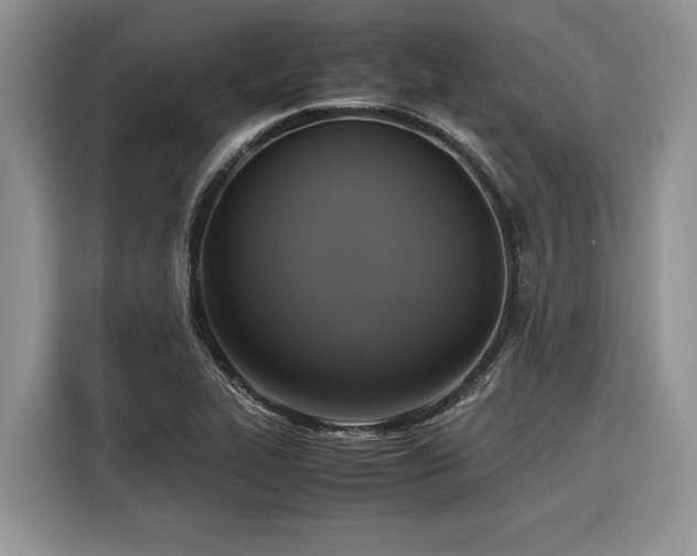 X0000116421319200912081456