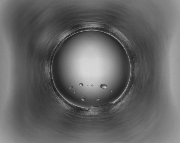 X0000116421321200912081456