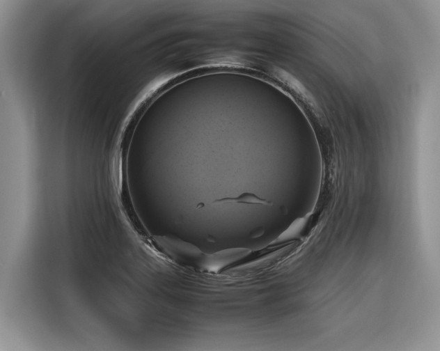 X0000116421323200912081456