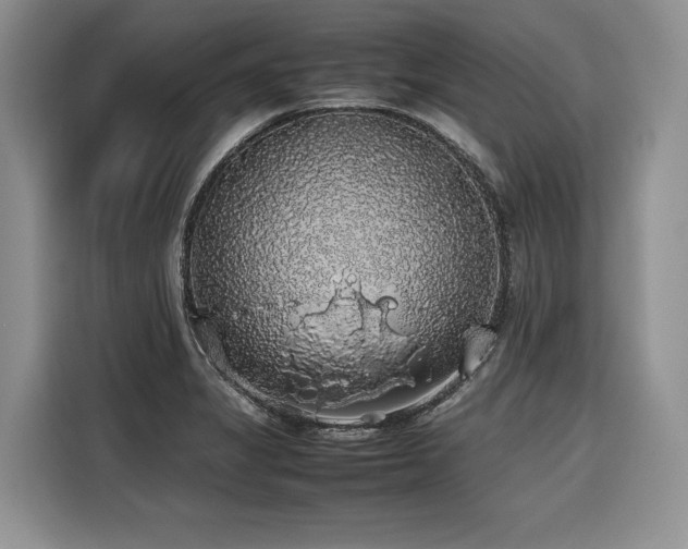 X0000116421325200912081456