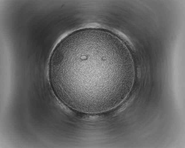 X0000116421326200912081456
