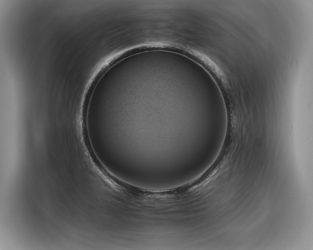 X0000116421327200912081456