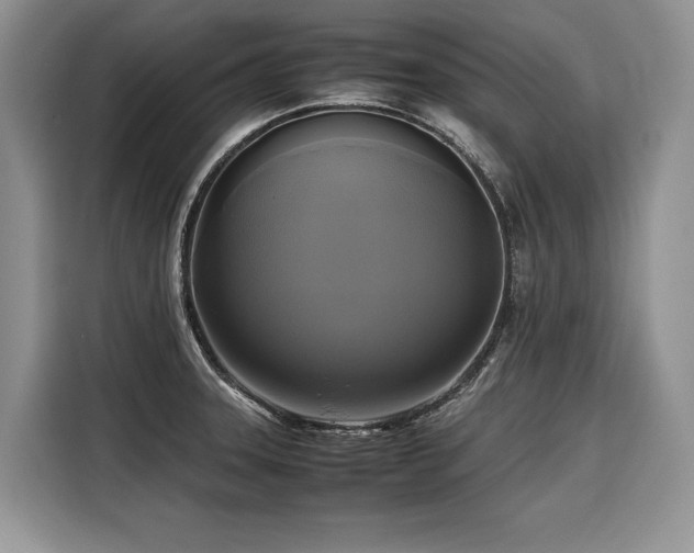 X0000116421331200912081456