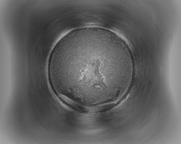 X0000116421333200912081456