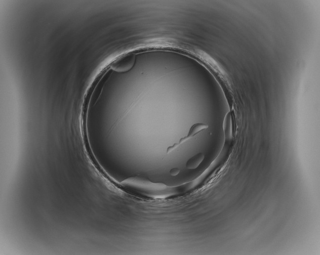 X0000116421334200912081456