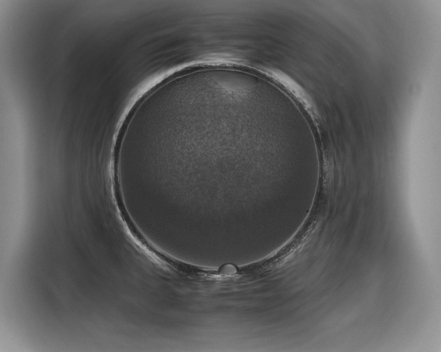 X0000116421335200912081456