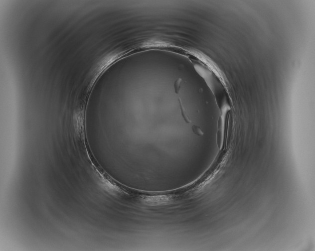 X0000116421337200912081456