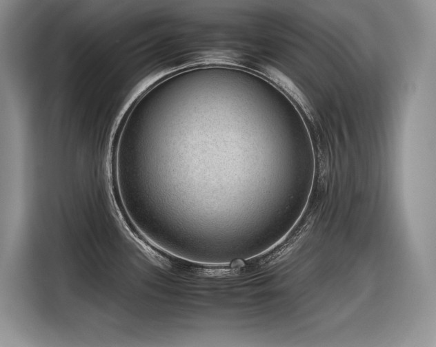 X0000116421339200912081456