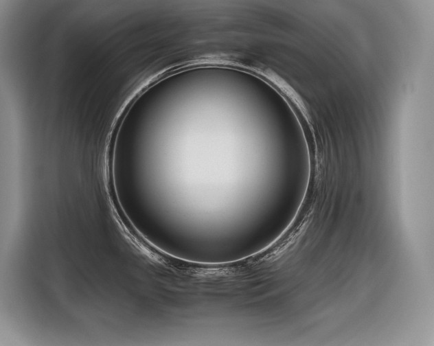 X0000116421341200912081456