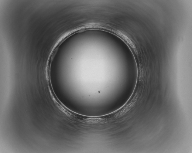 X0000116421342200912081456