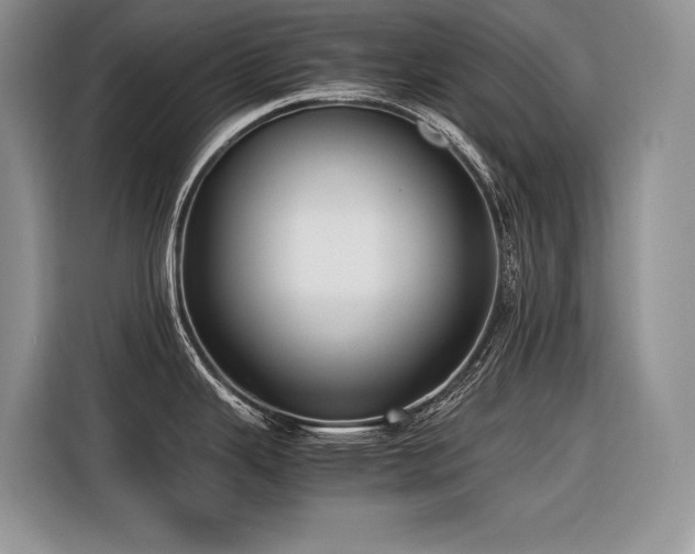 X0000116421343200912081456