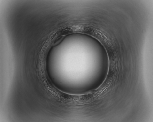 X0000116421345200912081456