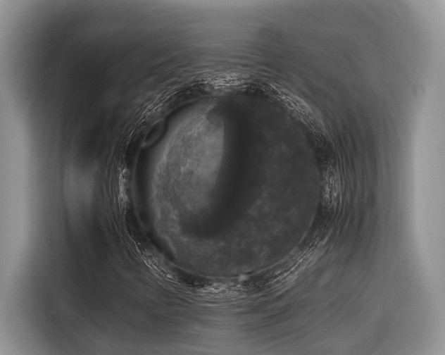 X0000116421346200912081456