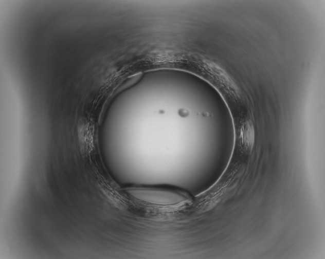 X0000116421348200912081456