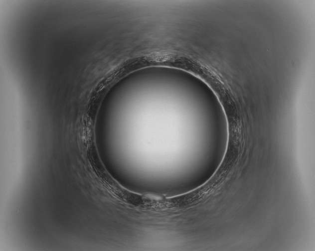 X0000116421349200912081456