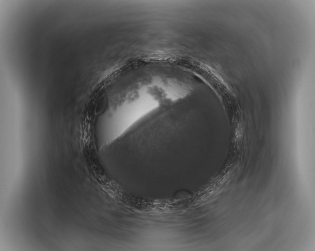 X0000116421350200912081456