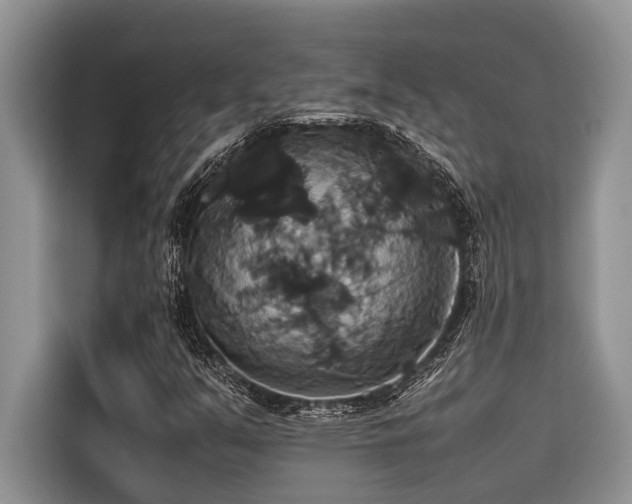 X0000116421351200912081456