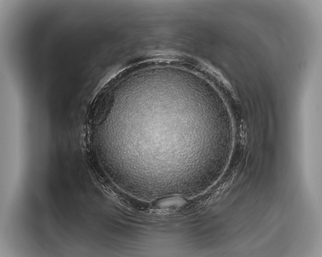 X0000116421352200912081456