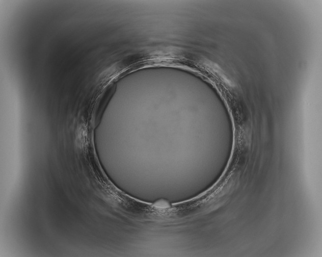 X0000116421353200912081456