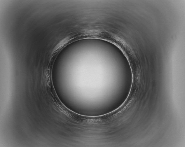 X0000116421354200912081456