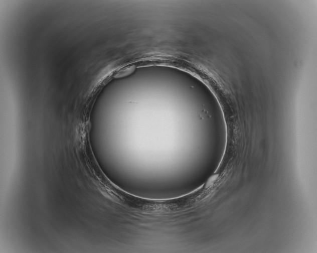 X0000116421355200912081456
