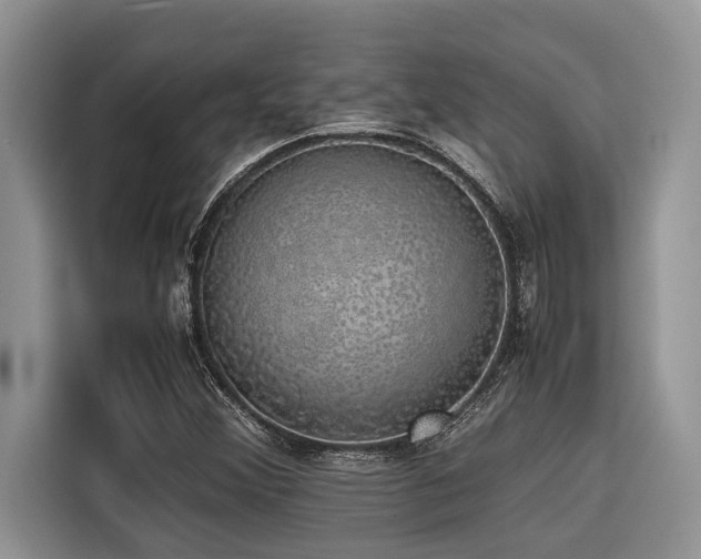 X0000116421356200912081456