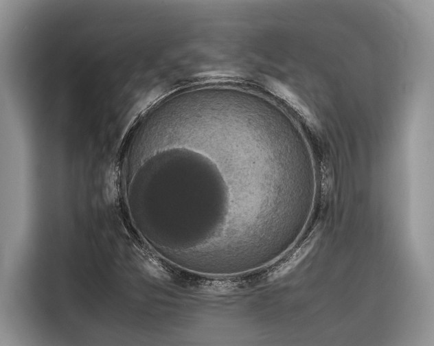 X0000116421357200912081455