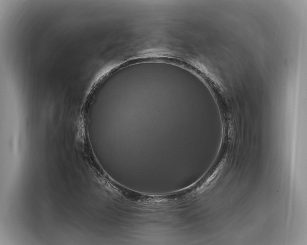 X0000116421358200912081455