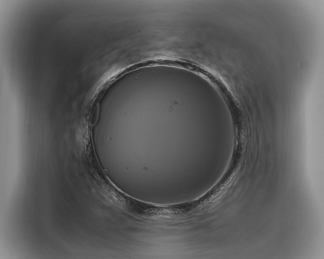 X0000116421359200912081455
