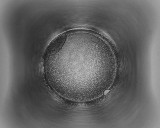 X0000116421360200912081455