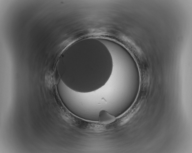 X0000116421361200912081455