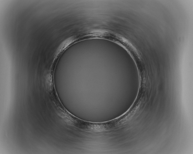 X0000116421362200912081455