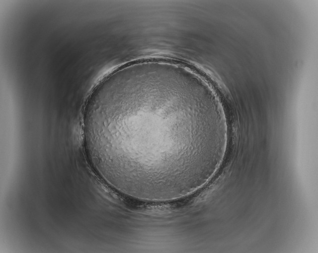 X0000116421363200912081455