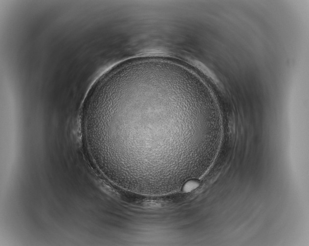 X0000116421364200912081455