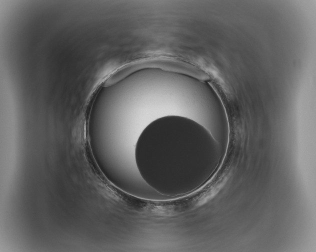 X0000116421365200912081455