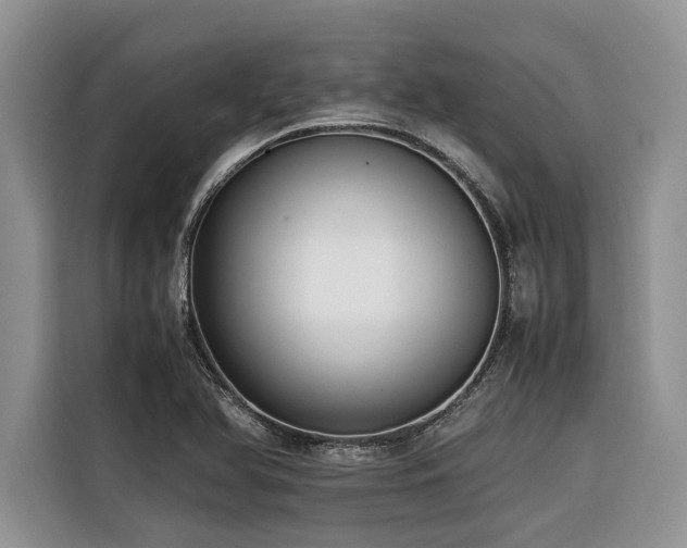 X0000116421366200912081455