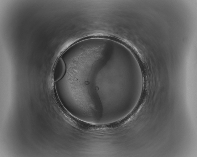 X0000116421367200912081455