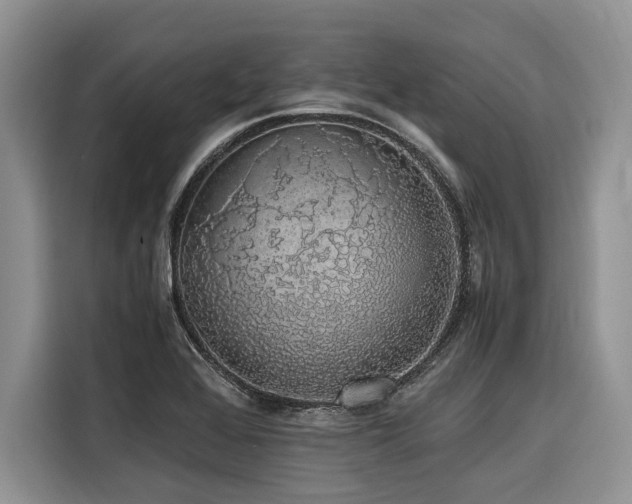 X0000116421368200912081455