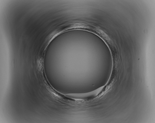 X0000116421369200912081455