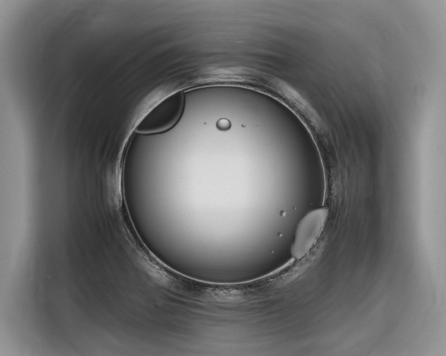 X0000116421370200912081455