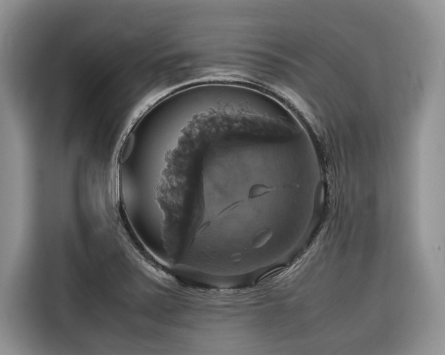 X0000116421371200912081455