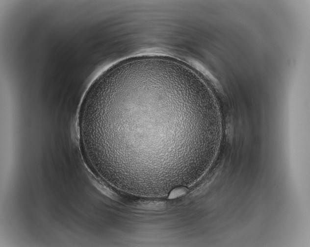 X0000116421372200912081455