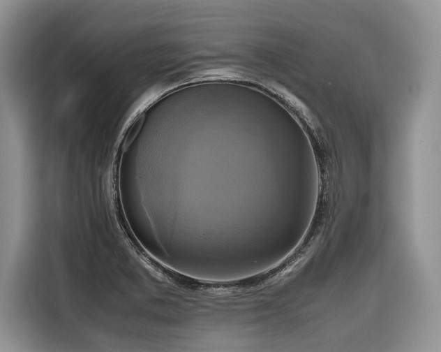 X0000116421373200912081455